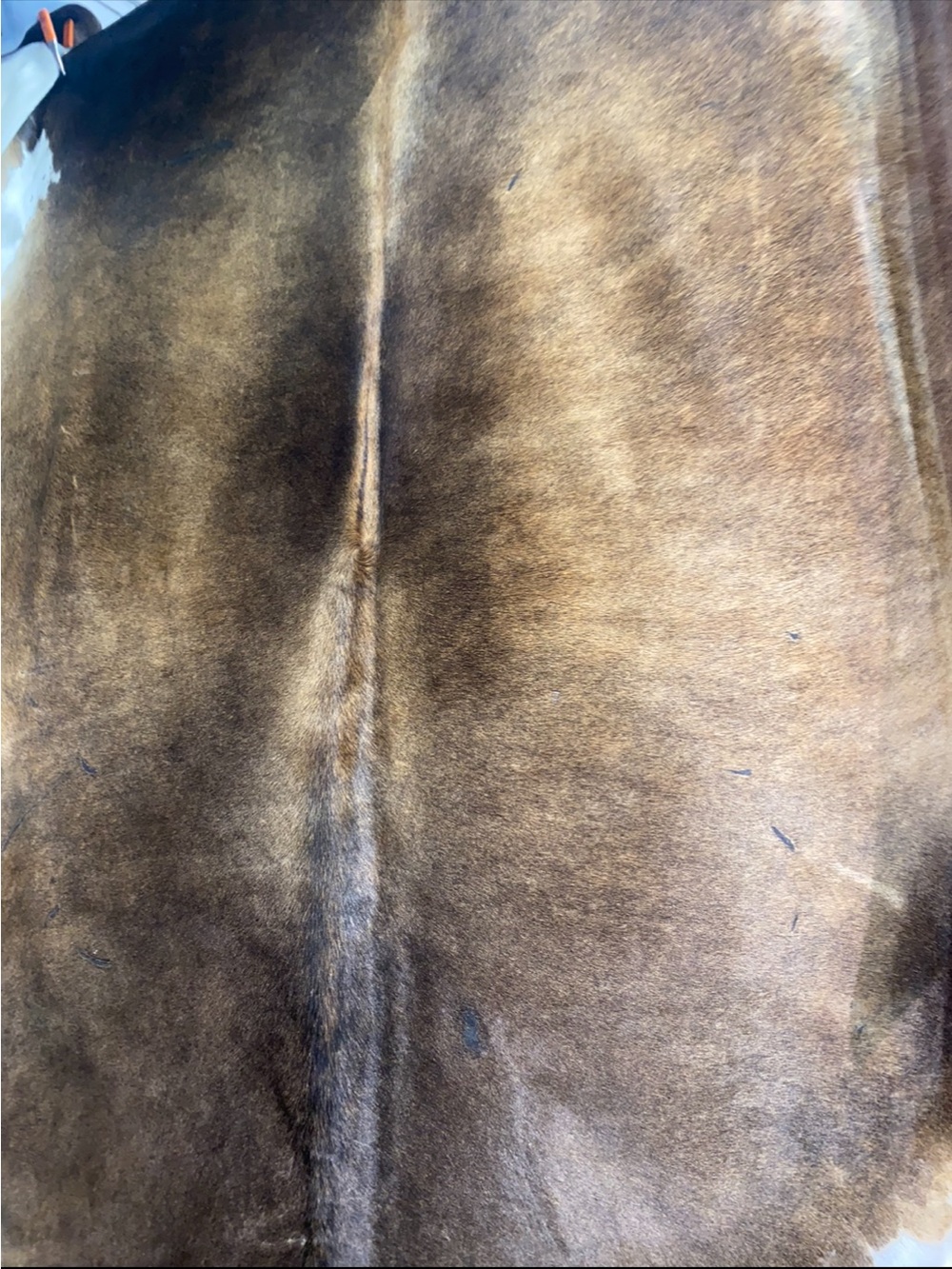Cowhide rugs
